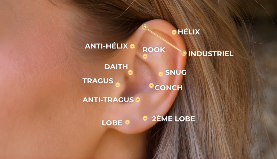 Piercings de l'oreille : noms, emplacements et cicatrisation