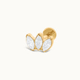 MARQUISE
