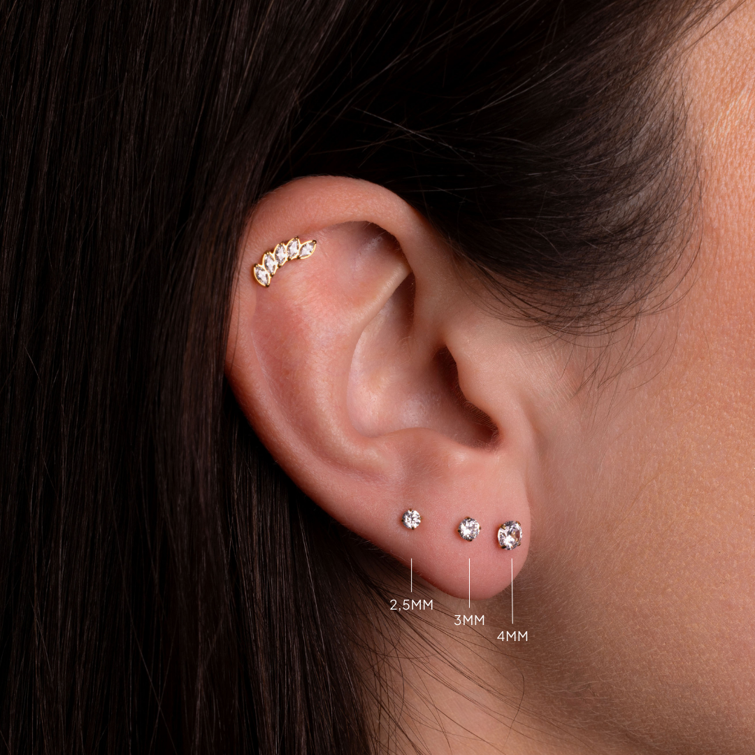 Différentes tailles de la Tête Griffée en titane - Bijoux de piercing Obsidian