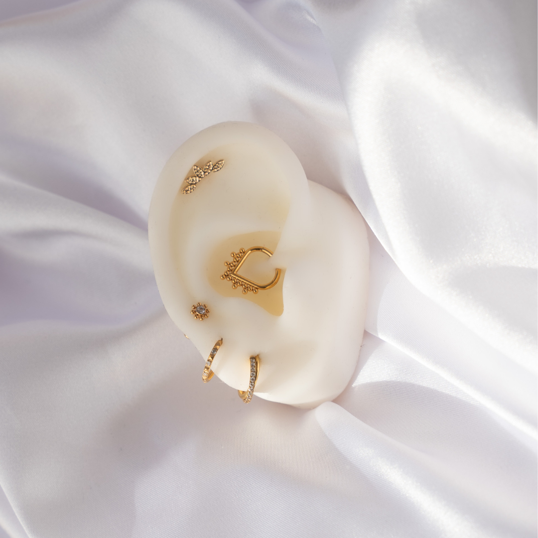 Arietis-Gold-Anneau