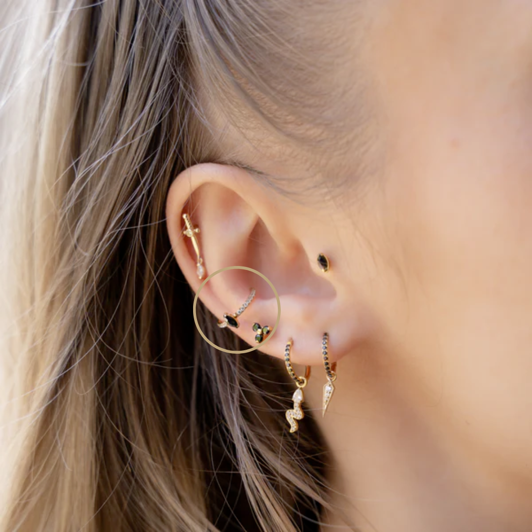Piercing Conch